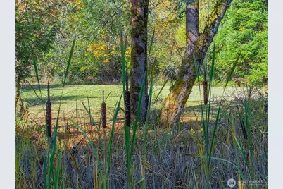 17328 Mulqueen Road SE, Rainier, WA 98576 - Photo 4