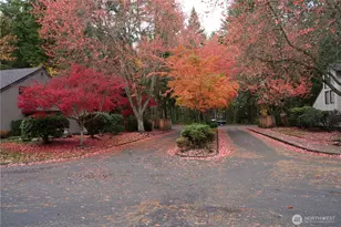 1770 159th Ave NE, Bellevue, WA 98008 - Photo 26