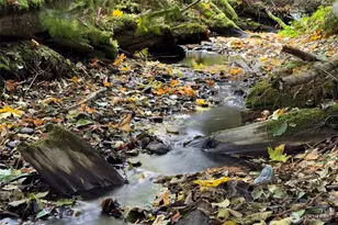 53284 Hwy 112, Port Angeles, WA 98363 - Photo 36