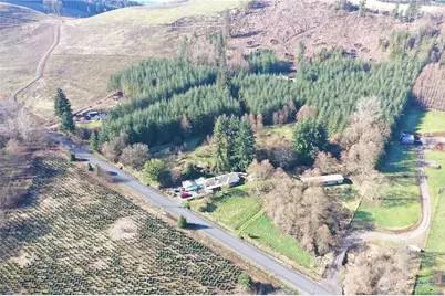 278 Wilson Road, Mossyrock, WA 98564 - Photo 6