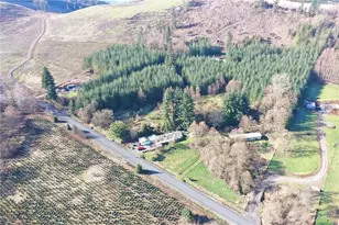 278 Wilson Rd, Mossyrock, WA 98564 - Photo 6