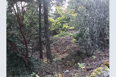 11939 New Morning Drive, Anacortes, WA 98221 - Photo 18