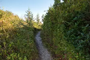 262 SW Oyhut Bay Blvd, Ocean Shores, WA 98569 - Photo 28