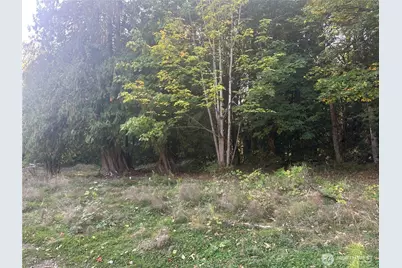 45450 State Route 20, Concrete, WA 98237 - Photo 4