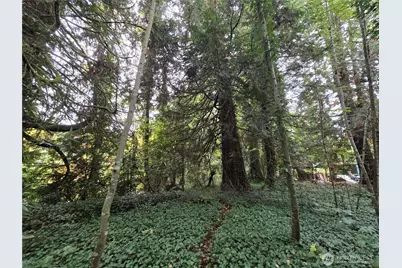 22123 NE 170th Place, Woodinville, WA 98077 - Photo 16