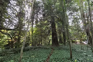 22123 NE 170th Pl, Woodinville, WA 98077 - Photo 16