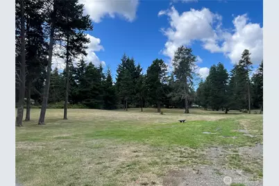 8439 Pepperidge Lane SE, Yelm, WA 98597 - Photo 28