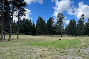 8439 Pepperidge Ln SE, Yelm, WA 98597 - Photo 28