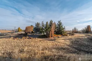 11397 Dodson Rd NW, Ephrata, WA 98823 - Photo 16