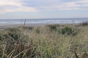 32805 G St, Ocean Park, WA 98640 - Photo 30