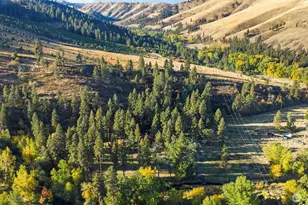 106 Wolf Ridge Ln, Dayton, WA 99328 - Photo 32