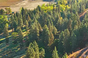 106 Wolf Ridge Ln, Dayton, WA 99328 - Photo 36