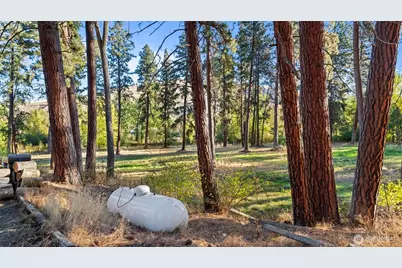 106 Wolf Ridge Lane, Dayton, WA 99328 - Photo 30