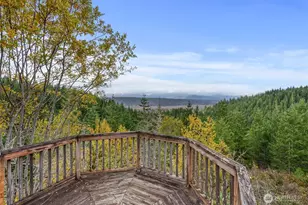 101 E Amy Ct, Shelton, WA 98584 - Photo 28