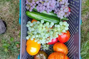 11134 Winlock Ct SE, Olympia, WA 98513 - Photo 30