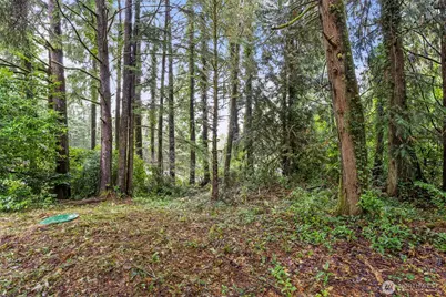 4300 40th Street, Seaview, WA 98644 - Photo 38