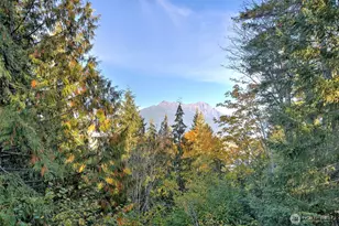 5791 N Lake Cushman Rd, Hoodsport, WA 98548 - Photo 40