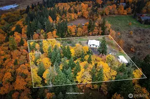 38013 26th Ave S, Roy, WA 98580 - Photo 30