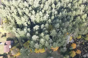 1216 Kaiser Rd SW, Olympia, WA 98512 - Photo 28