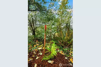 13843 SW 248th Street, Vashon, WA 98070 - Photo 10