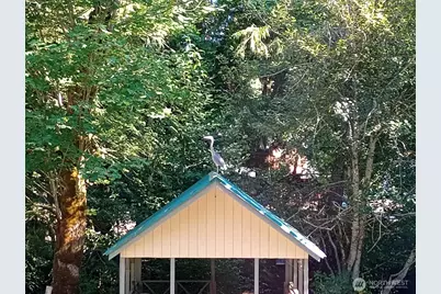 111 N Jorsted Creek Road, Lilliwaup, WA 98555 - Photo 18