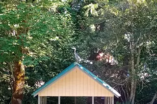 111 N Jorsted Creek Rd, Lilliwaup, WA 98555 - Photo 18