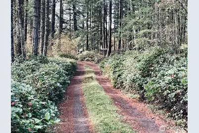 165 Duck Soup Lane, Friday Harbor, WA 98250 - Photo 4