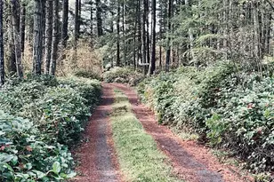 165 Duck Soup Ln, Friday Harbor, WA 98250 - Photo 4