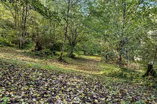 2212 184th Ave SW, Lakebay, WA 98349 - Photo 38