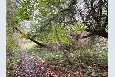 29922 Sr 525, Coupeville, WA 98239 - Photo 20