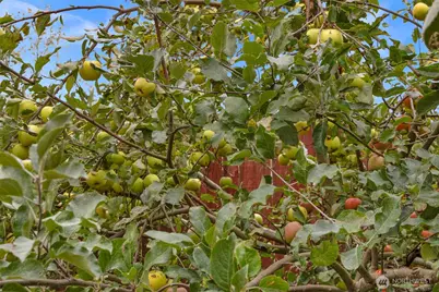 3914 82nd Avenue NE, Marysville, WA 98270 - Photo 28