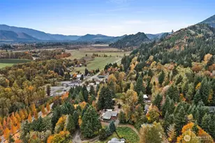 172 Boyd Rd, Randle, WA 98377 - Photo 6