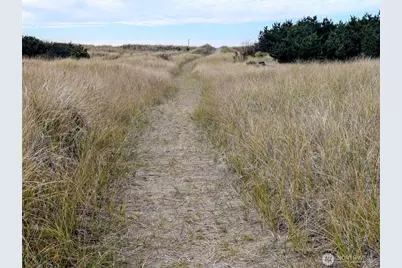 1508 177th Place, Long Beach, WA 98631 - Photo 28