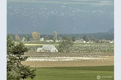 18122 Best Road, Mount Vernon, WA 98273 - Photo 1