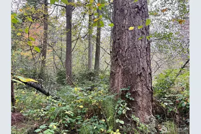 0 Hyak Place, Fox Island, WA 98333 - Photo 16