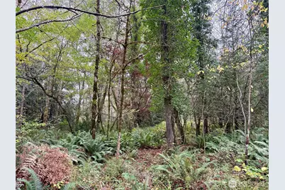 0 Hyak Place, Fox Island, WA 98333 - Photo 12