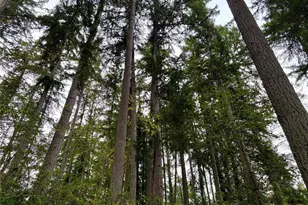 0 Hyak Pl, Fox Island, WA 98333 - Photo 1