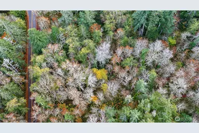 0 Hyak Place, Fox Island, WA 98333 - Photo 2