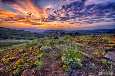 464 Highway 20, Tonasket, WA 98855 - Photo 34