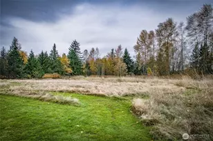 3496 Birch Bay Lynden Rd, Custer, WA 98240 - Photo 6