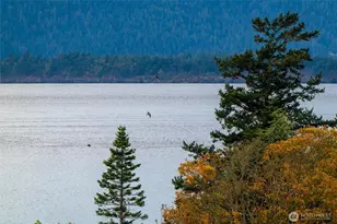 2383 W Shore Dr, Lummi Island, WA 98262 - Photo 30