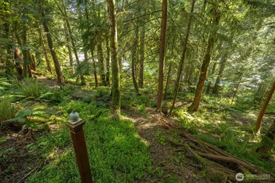 337 Sudden Valley Drive, Bellingham, WA 98229 - Photo 38