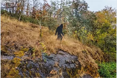 4300 Old Pacific Highway S, Kelso, WA 98624 - Photo 38