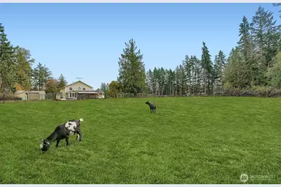 30310 24th Avenue S, Roy, WA 98580 - Photo 32