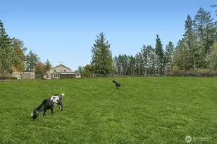 30310 24th Ave S, Roy, WA 98580 - Photo 32