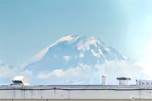 2636 22nd Ave W, Seattle, WA 98199 - Photo 28