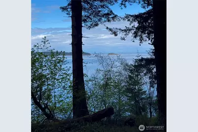 104 Barn Owl Trail, Orcas Island, WA 98245 - Photo 24