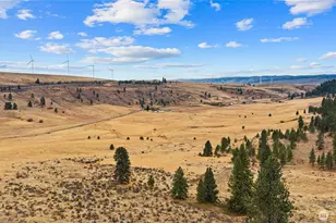 1371 Bettas Rd, Cle Elum, WA 98926 - Photo 34