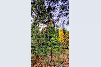 6299 Alder Ct, Wenatchee, WA 98801 - Photo 2