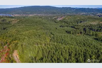 6 Parpala Road #6, Naselle, WA 98638 - Photo 16